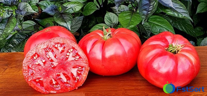 images/1695629839352tomato grading machine.jpg